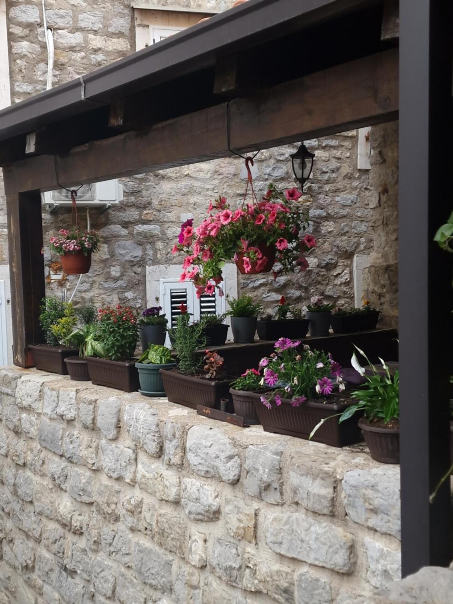 Rooms Dana Old Town Budva Exteriér fotografie